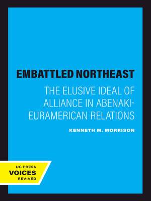 cover image of The Embattled Northeast